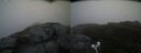 ./images/calvert/buxton2/20200630/buxton220200630_055003M.jpg