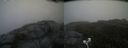 ./images/calvert/buxton2/20200630/buxton220200630_070503M.jpg