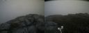 ./images/calvert/buxton2/20200630/buxton220200630_083503M.jpg