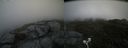 ./images/calvert/buxton2/20200630/buxton220200630_112502M.jpg