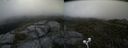 ./images/calvert/buxton2/20200630/buxton220200630_114503M.jpg