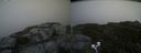./images/calvert/buxton2/20200630/buxton220200630_182002M.jpg