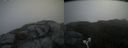 ./images/calvert/buxton2/20200701/buxton220200701_113503M.jpg