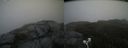 ./images/calvert/buxton2/20200701/buxton220200701_131002M.jpg