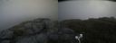 ./images/calvert/buxton2/20200702/buxton220200702_094503M.jpg