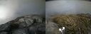 ./images/calvert/buxton2/20200703/buxton220200703_194503M.jpg