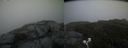 ./images/calvert/buxton2/20200703/buxton220200703_204502M.jpg