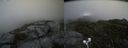./images/calvert/buxton2/20200704/buxton220200704_125502M.jpg