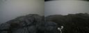 ./images/calvert/buxton2/20200706/buxton220200706_083503M.jpg