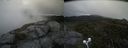 ./images/calvert/buxton2/20200707/buxton220200707_145503M.jpg