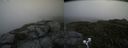 ./images/calvert/buxton2/20200707/buxton220200707_180004M.jpg