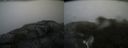./images/calvert/buxton2/20200707/buxton220200707_184502M.jpg