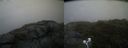 ./images/calvert/buxton2/20200707/buxton220200707_201005M.jpg
