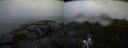 ./images/calvert/buxton2/20200708/buxton220200708_054002M.jpg