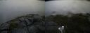 ./images/calvert/buxton2/20200708/buxton220200708_065002M.jpg