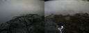 ./images/calvert/buxton2/20200708/buxton220200708_105002M.jpg