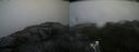 ./images/calvert/buxton2/20200708/buxton220200708_161002M.jpg
