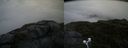 ./images/calvert/buxton2/20200708/buxton220200708_205002M.jpg