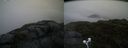 ./images/calvert/buxton2/20200708/buxton220200708_205502M.jpg