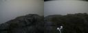 ./images/calvert/buxton2/20200709/buxton220200709_071005M.jpg