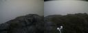 ./images/calvert/buxton2/20200709/buxton220200709_072505M.jpg