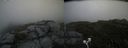 ./images/calvert/buxton2/20200709/buxton220200709_135003M.jpg