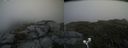 ./images/calvert/buxton2/20200709/buxton220200709_141003M.jpg