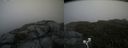 ./images/calvert/buxton2/20200709/buxton220200709_145005M.jpg