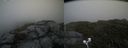 ./images/calvert/buxton2/20200709/buxton220200709_145505M.jpg