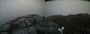 ./images/calvert/buxton2/20200709/buxton220200709_165505M.jpg