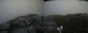 ./images/calvert/buxton2/20200709/buxton220200709_174002M.jpg