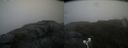 ./images/calvert/buxton2/20200709/buxton220200709_192505M.jpg