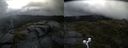 ./images/calvert/buxton2/20200710/buxton220200710_082002M.jpg
