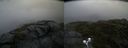 ./images/calvert/buxton2/20200710/buxton220200710_084003M.jpg