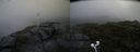 ./images/calvert/buxton2/20200711/buxton220200711_070505M.jpg
