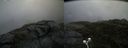 ./images/calvert/buxton2/20200711/buxton220200711_114505M.jpg