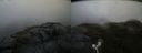 ./images/calvert/buxton2/20200711/buxton220200711_125002M.jpg