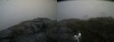 ./images/calvert/buxton2/20200711/buxton220200711_133505M.jpg