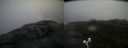 ./images/calvert/buxton2/20200711/buxton220200711_135505M.jpg
