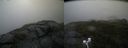 ./images/calvert/buxton2/20200711/buxton220200711_140505M.jpg