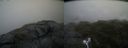./images/calvert/buxton2/20200711/buxton220200711_142504M.jpg
