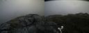 ./images/calvert/buxton2/20200711/buxton220200711_153503M.jpg