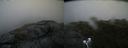 ./images/calvert/buxton2/20200711/buxton220200711_164005M.jpg