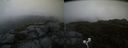 ./images/calvert/buxton2/20200711/buxton220200711_211003M.jpg