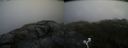 ./images/calvert/buxton2/20200712/buxton220200712_075504M.jpg