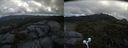 ./images/calvert/buxton2/20200713/buxton220200713_094505M.jpg