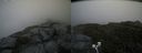 ./images/calvert/buxton2/20200714/buxton220200714_102002M.jpg
