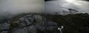 ./images/calvert/buxton2/20200714/buxton220200714_112504M.jpg