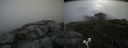 ./images/calvert/buxton2/20200714/buxton220200714_120502M.jpg