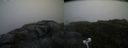 ./images/calvert/buxton2/20200714/buxton220200714_184504M.jpg